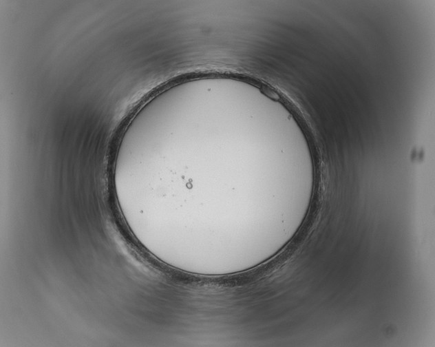 X0000111220677200907231441