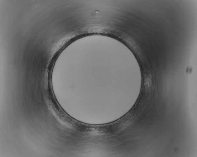 X0000111220678200907231441