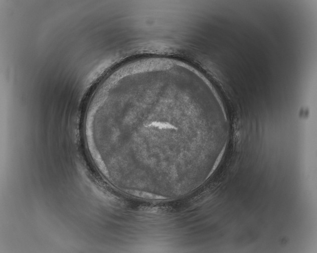 X0000111220679200907231441