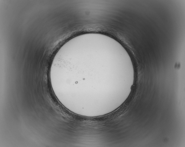 X0000111220681200907231441