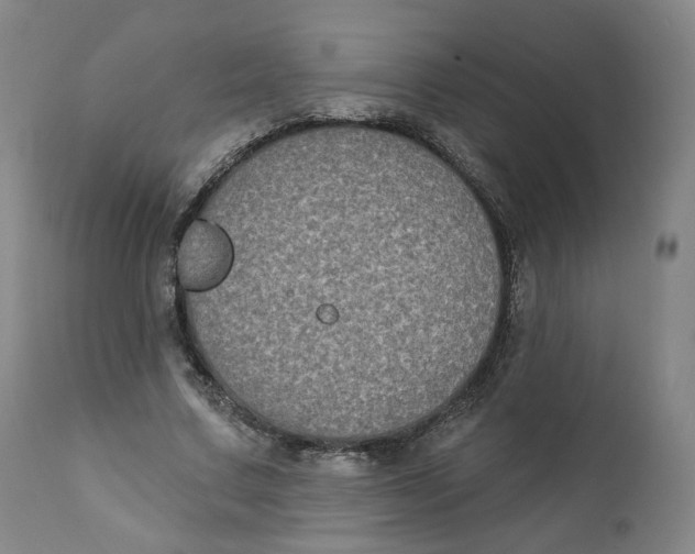 X0000111220683200907231441