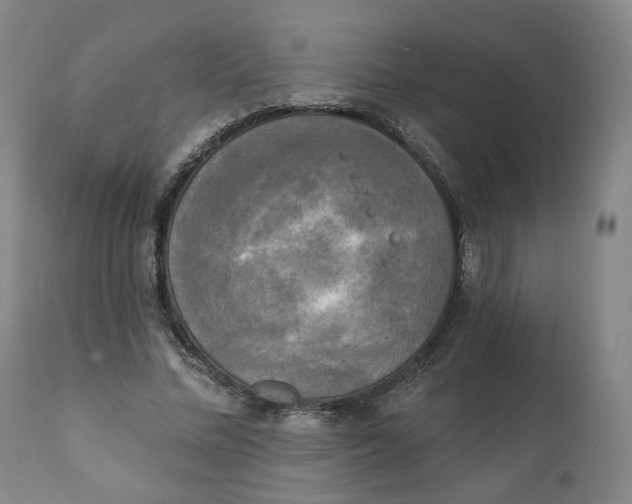 X0000111220684200907231441