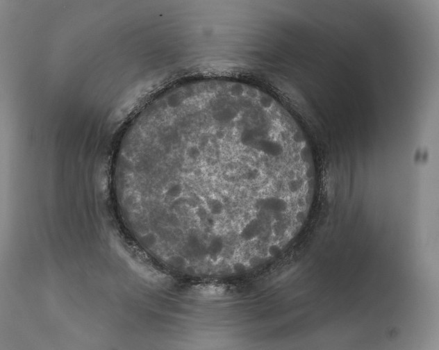 X0000111220687200907231441