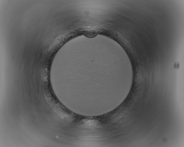 X0000111220689200907231441