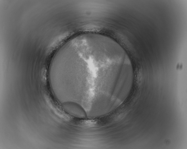 X0000111220692200907231441