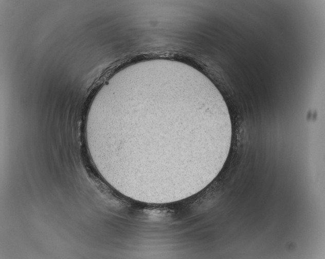 X0000111220693200907231441