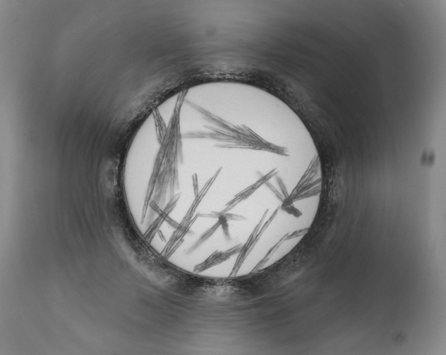 X0000111220695200907231441