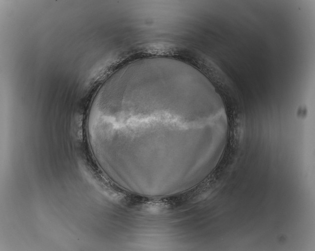 X0000111220696200907231441
