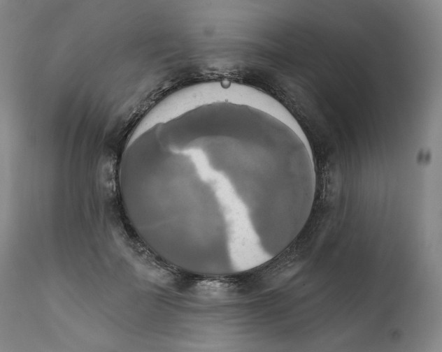 X0000111220699200907231441