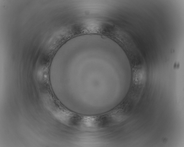 X0000111220701200907231441