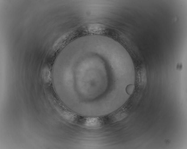 X0000111220705200907231441