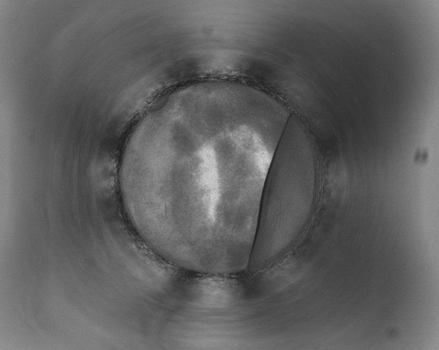 X0000111220708200907231441