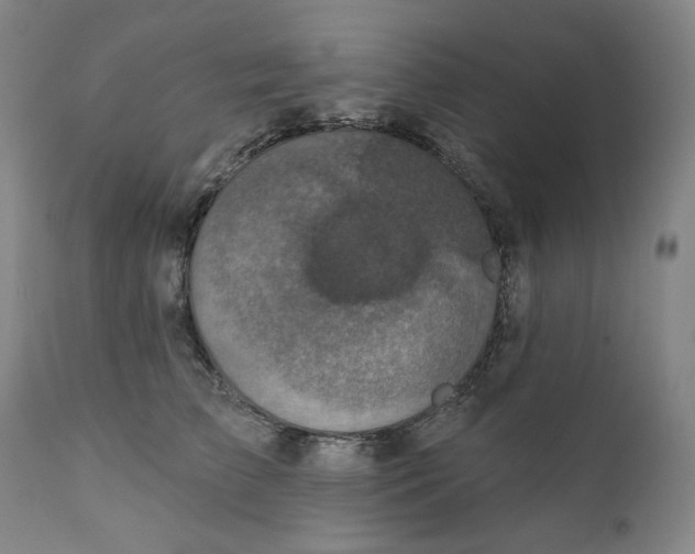 X0000111220709200907231441