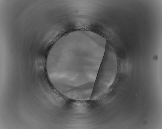 X0000111220712200907231441