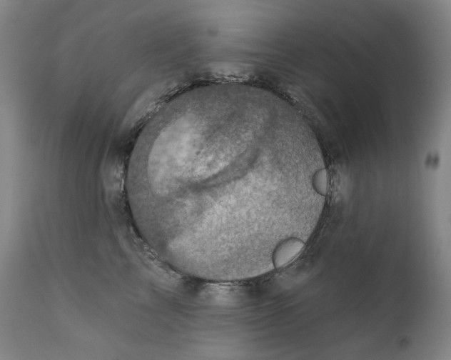X0000111220713200907231441