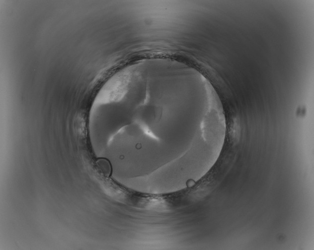 X0000111220715200907231441