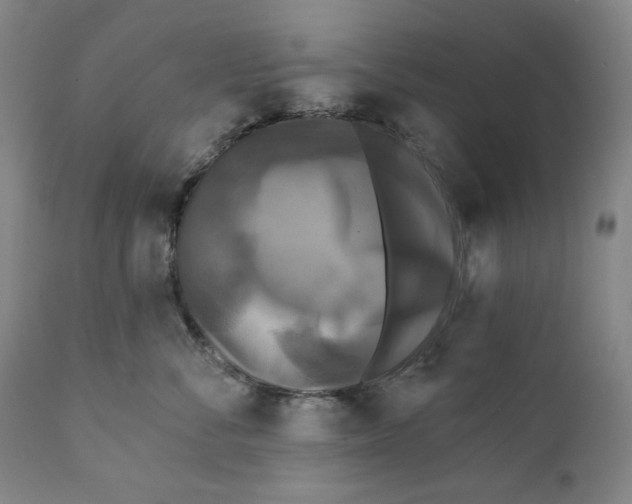 X0000111220716200907231441