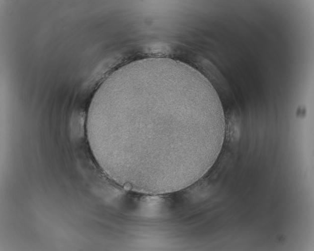X0000111220717200907231441