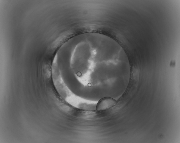 X0000111220719200907231441