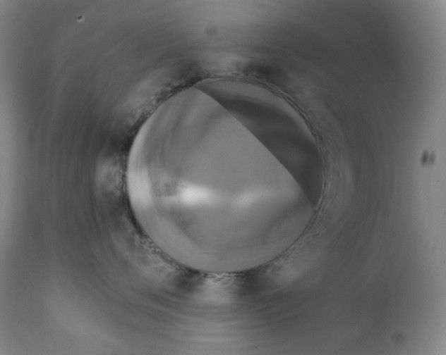 X0000111220720200907231441