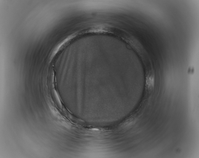 X0000111220724200907231440