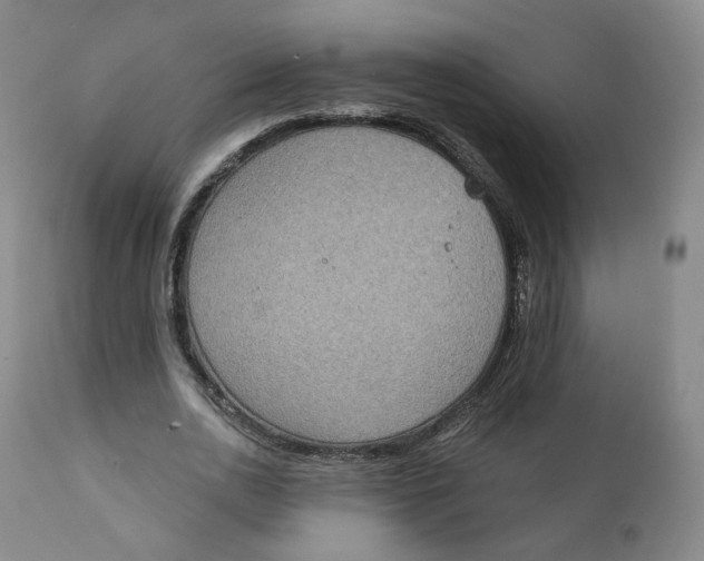X0000111220726200907231440