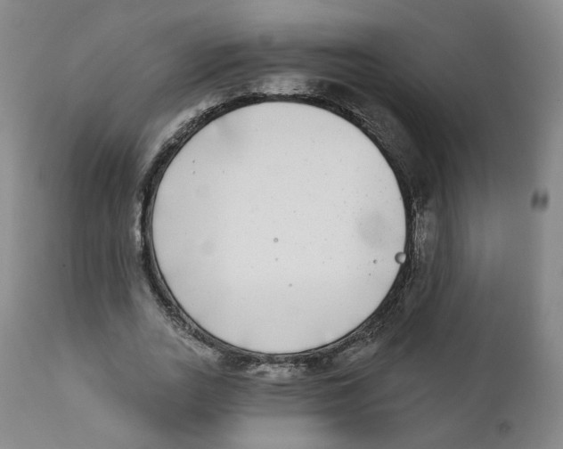 X0000111220727200907231440
