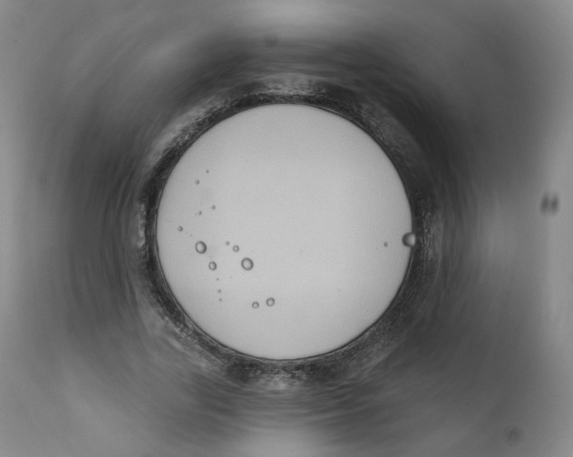 X0000111220731200907231440