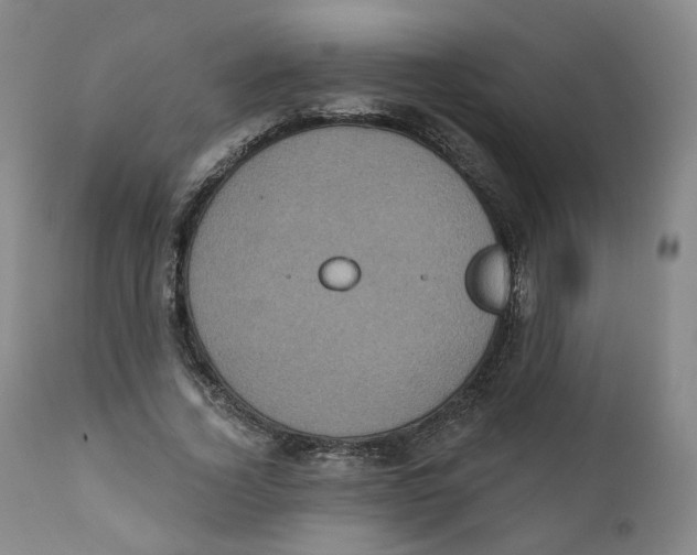X0000111220732200907231440