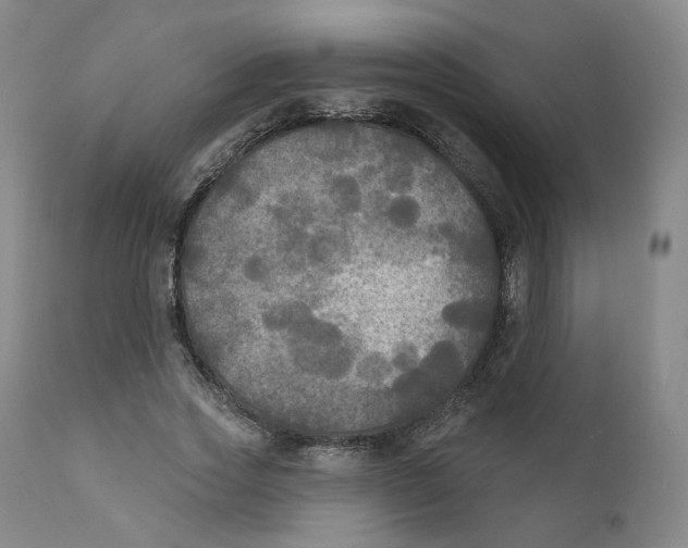 X0000111220733200907231440