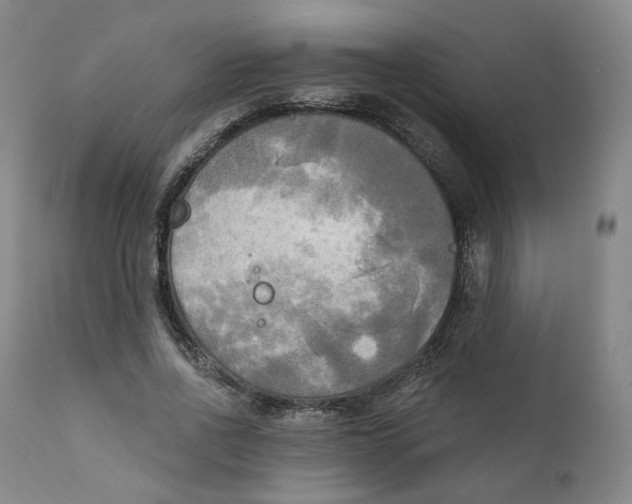 X0000111220734200907231440