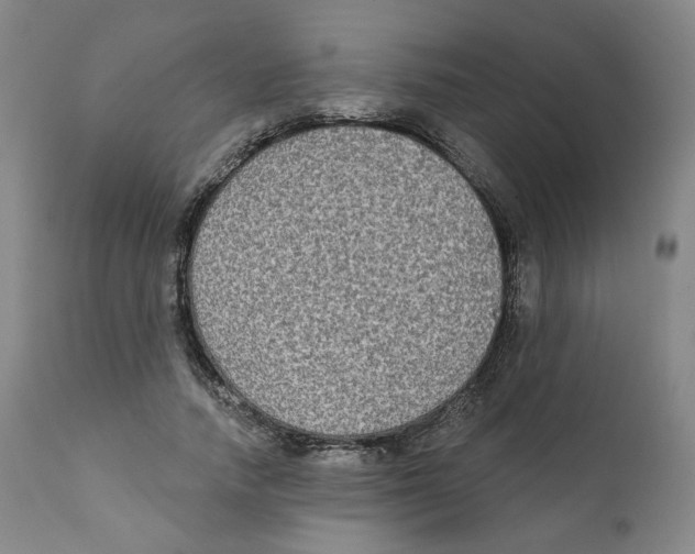 X0000111220738200907231440
