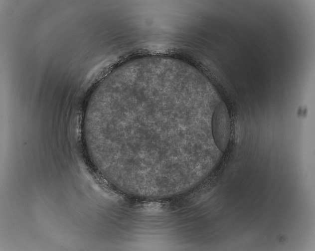 X0000111220740200907231440