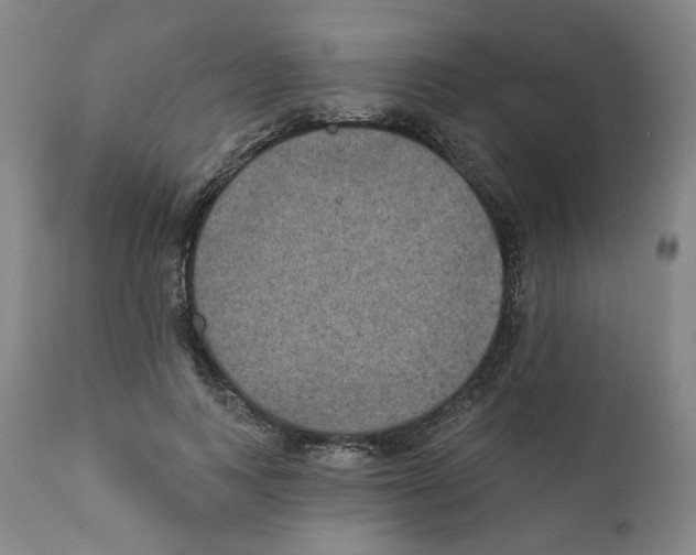 X0000111220743200907231440
