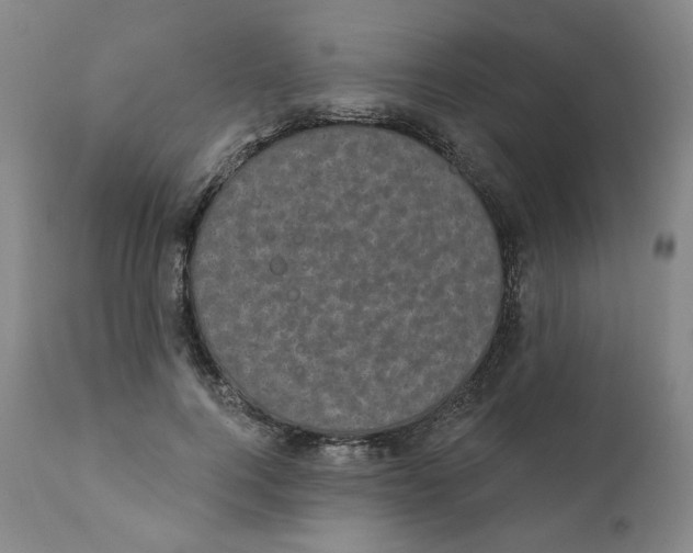 X0000111220744200907231440