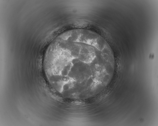 X0000111220745200907231440