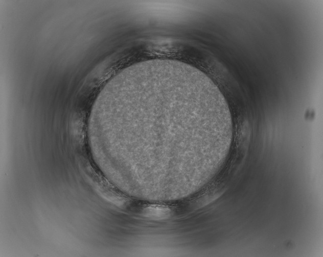 X0000111220749200907231440
