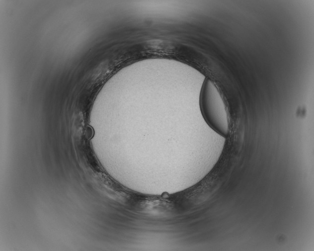 X0000111220752200907231440