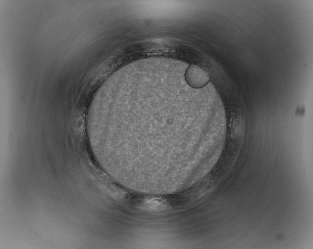 X0000111220753200907231440