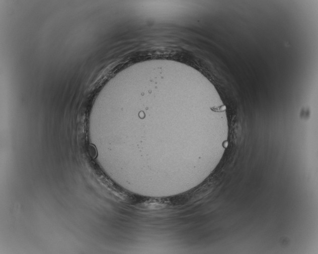 X0000111220756200907231440