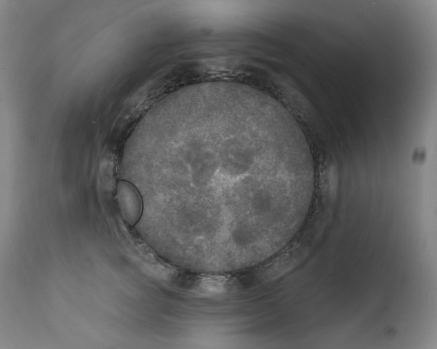 X0000111220757200907231440