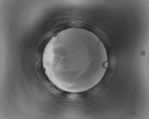 X0000111220759200907231440