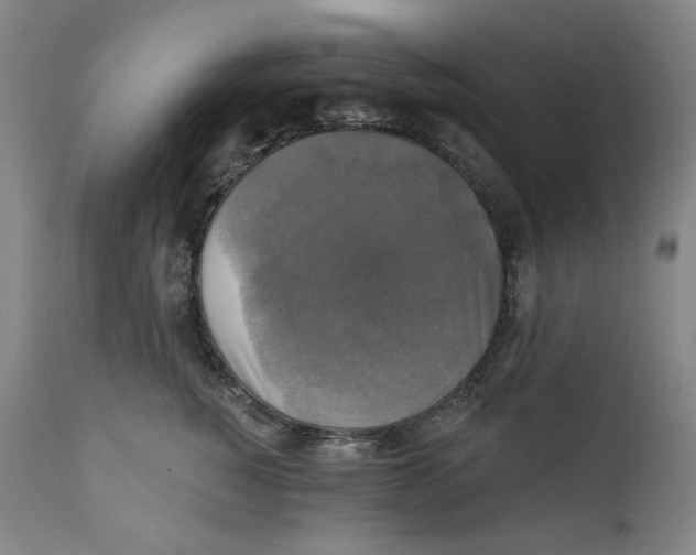 X0000111220760200907231440