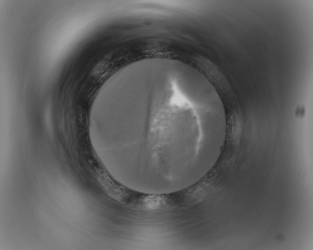 X0000111220762200907231440