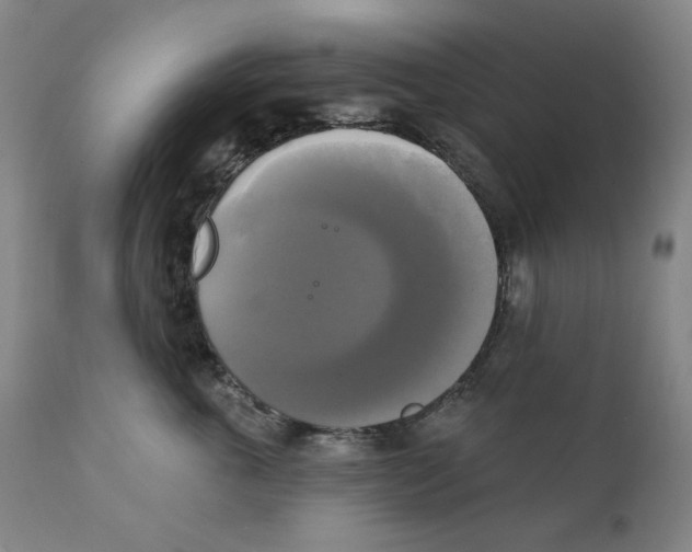 X0000111220763200907231440