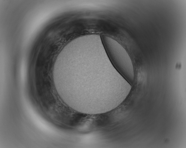 X0000111220764200907231440