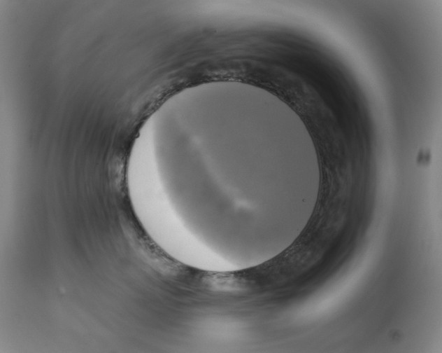 X0000111220767200907231441