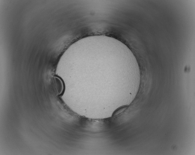 X0000111220768200907231441