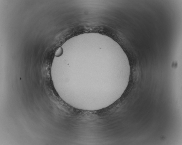 X0000111220770200907231440