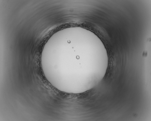X0000111220773200907231440